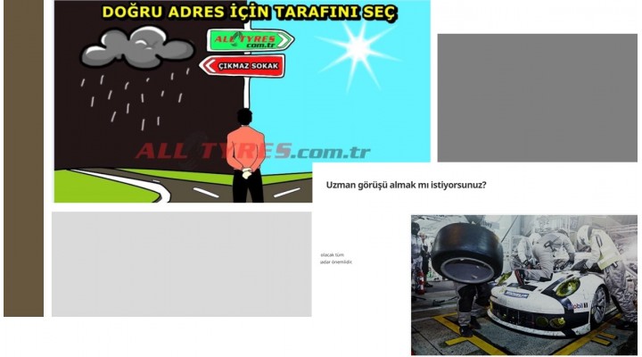 Michelin Sunum-1111